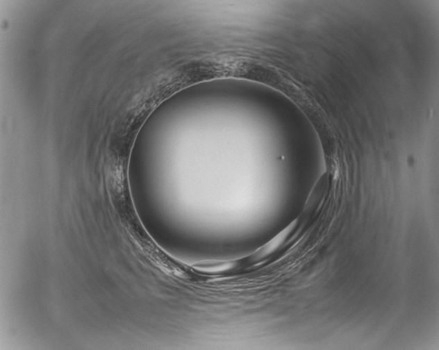 X0000054470613200507291349