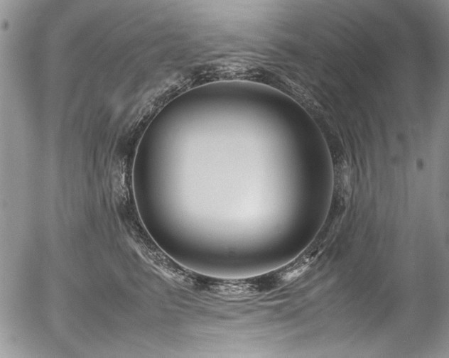 X0000054470615200507291349