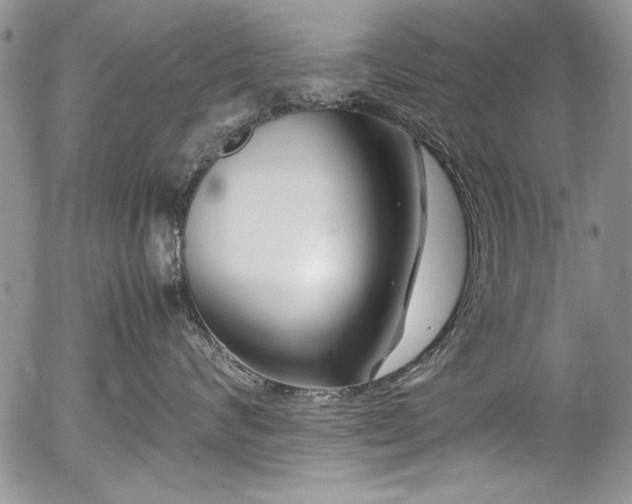 X0000054470624200507291349