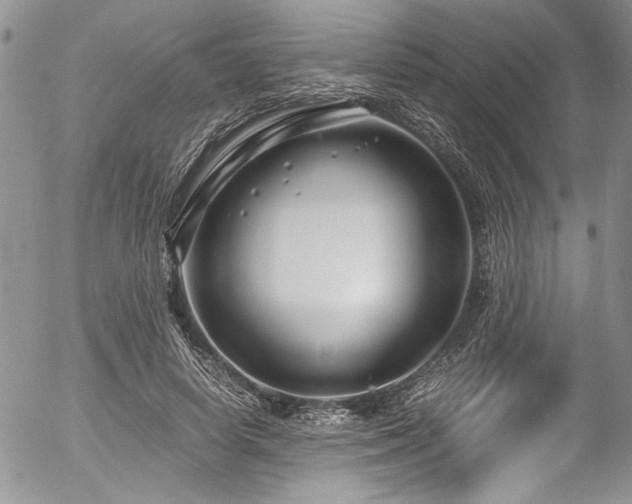 X0000054470642200507291348