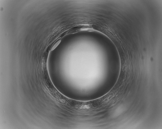 X0000054470647200507291348