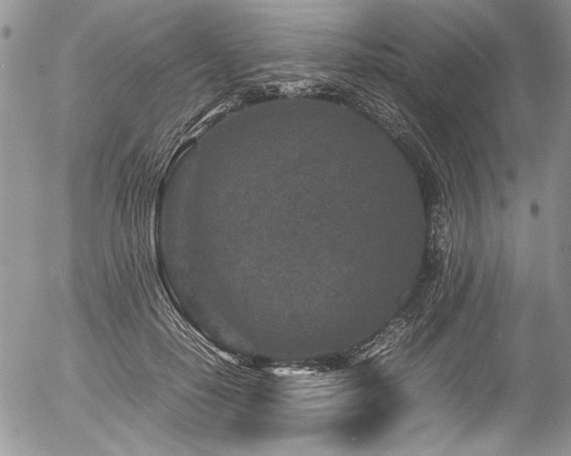 X0000054470650200507291348