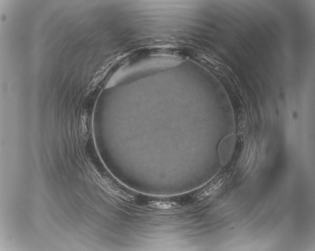 X0000054470654200507291348