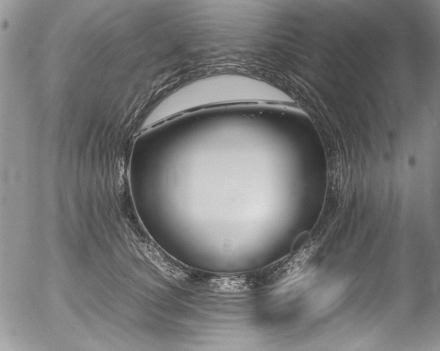 X0000054470660200507291348