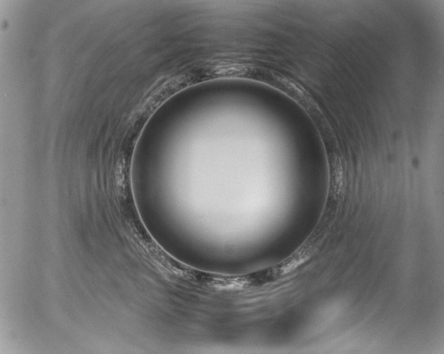 X0000054470667200507291348