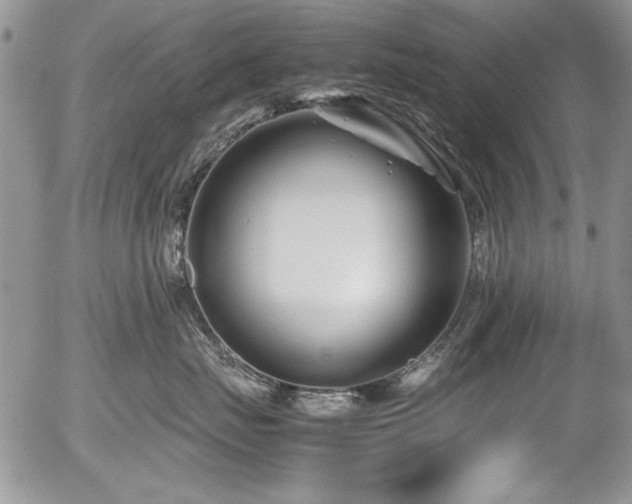 X0000054470671200507291349