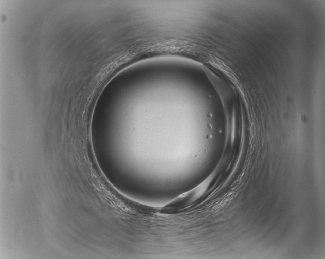 X0000054470673200507291348