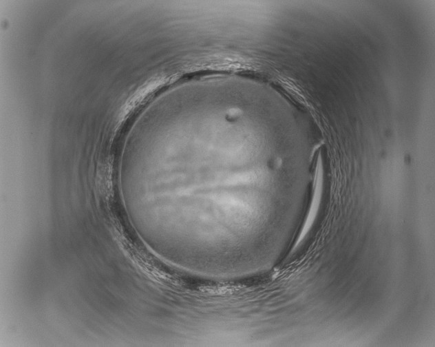 X0000054470679200507291348