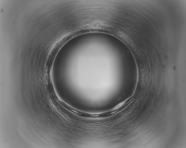 X0000054470680200507291348
