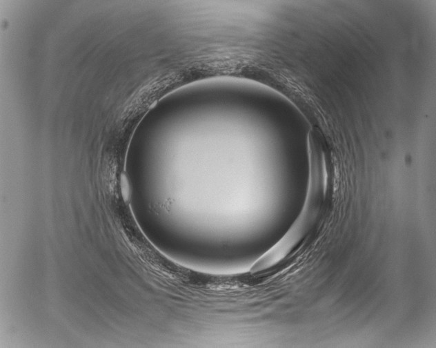 X0000054470693200507291347