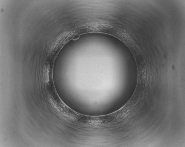 X0000054470694200507291347