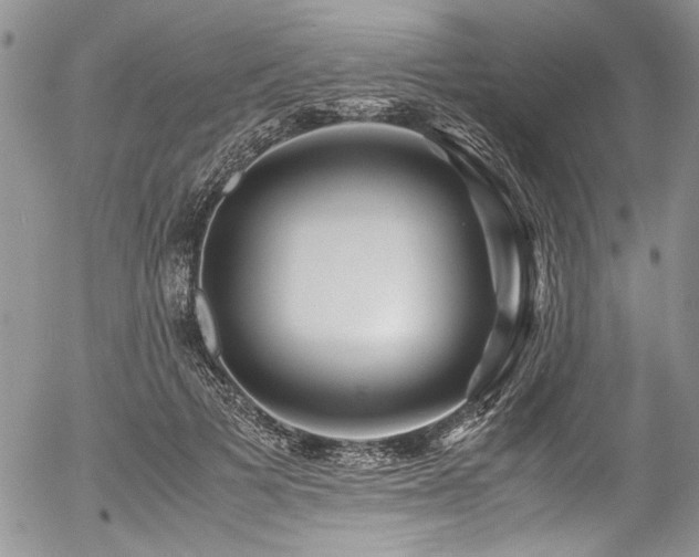 X0000054470697200507291347