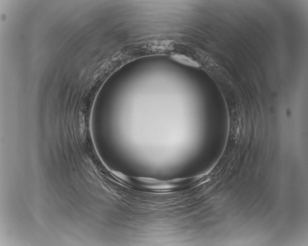 X0000054470704200507291347