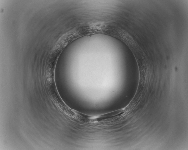 X0000054470706200507291347