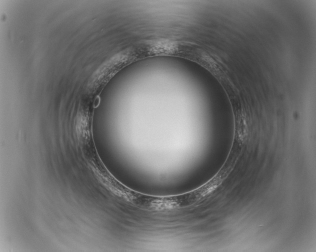 X0000054470714200507291347