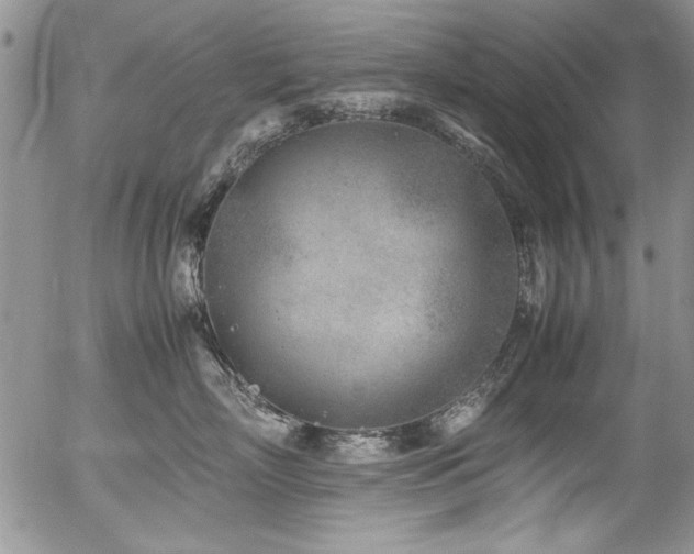 X0000054470718200507291347