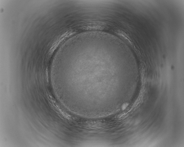 X0000054470729200507291346