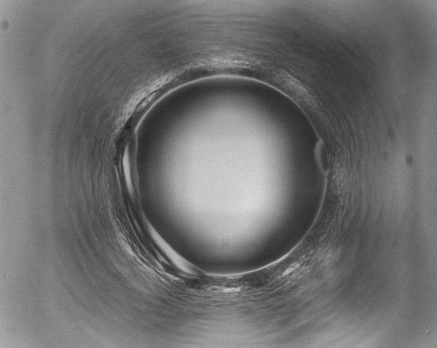 X0000054470732200507291346