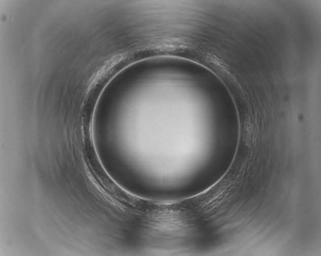 X0000054470734200507291346