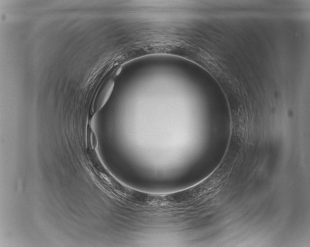 X0000054470742200507291347