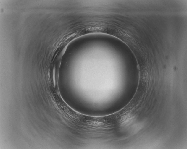 X0000054470743200507291347