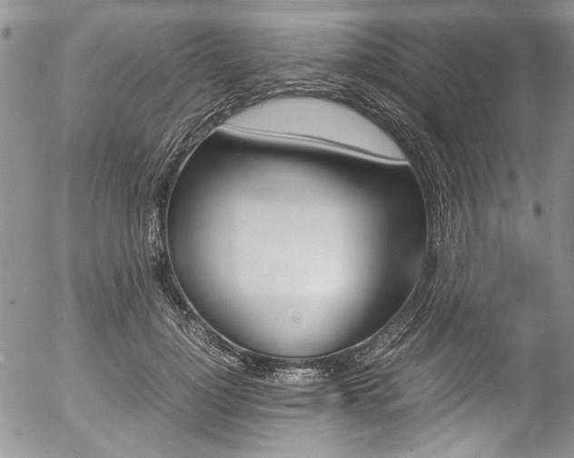 X0000054470748200507291347