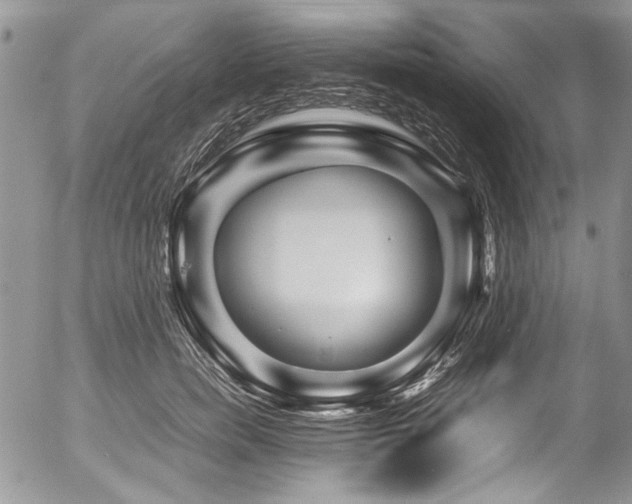 X0000054470750200507291347