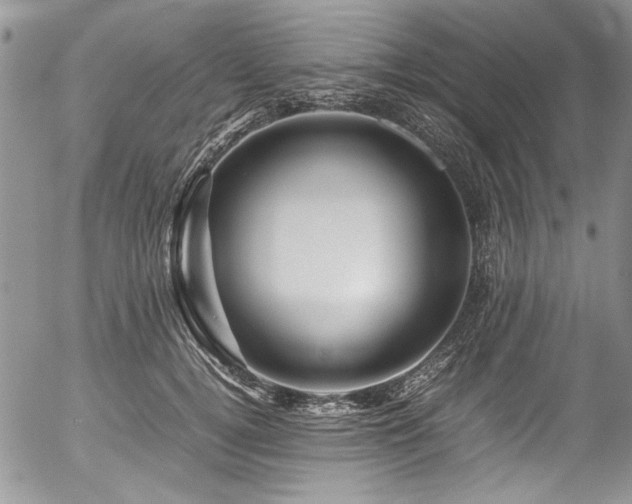 X0000054470752200507291347
