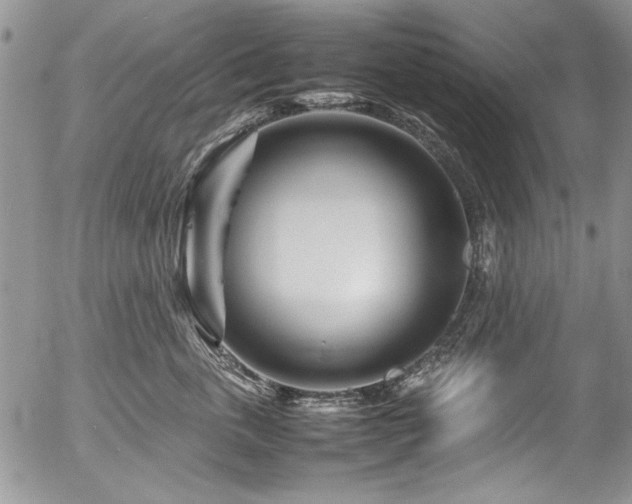 X0000054470763200507291347