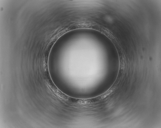 X0000054470764200507291347
