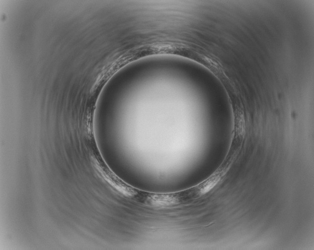 X0000054470766200507291347