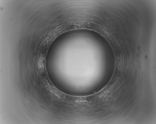 X0000054470770200507291346