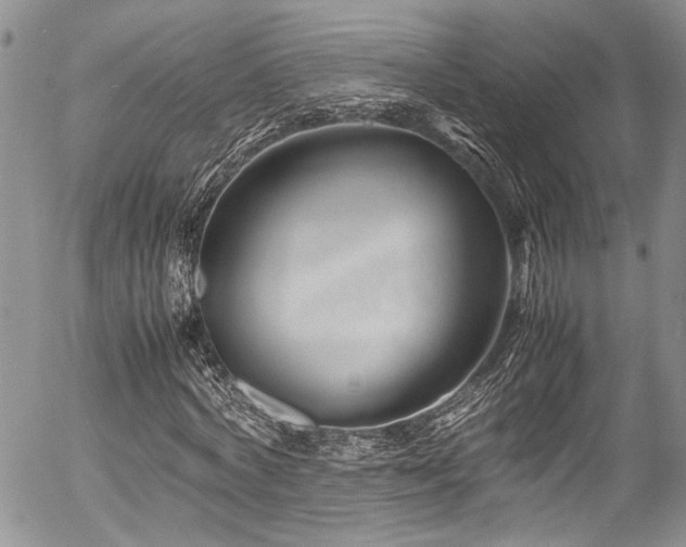 X0000054470772200507291346