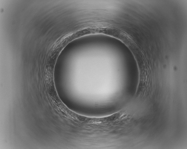 X0000054470773200507291346