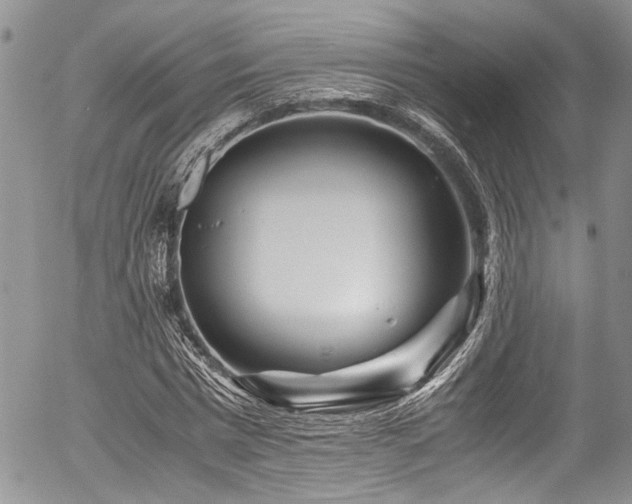 X0000054470777200507291346