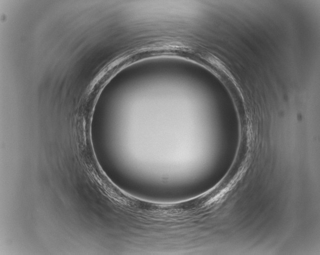 X0000054470781200507291346