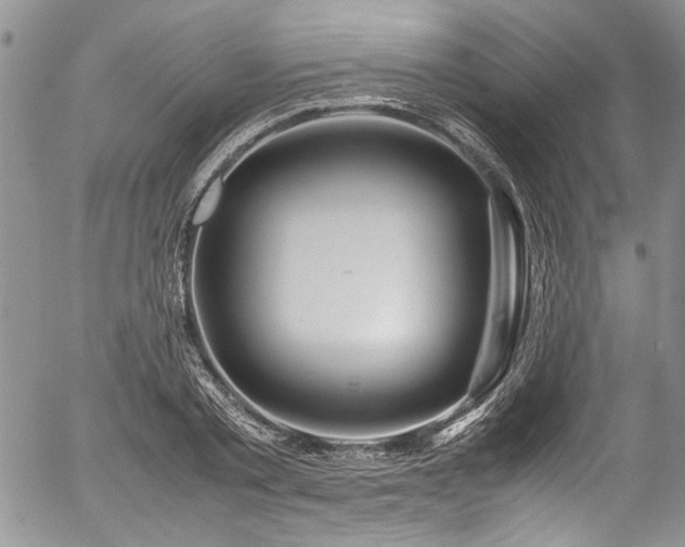 X0000054470789200507291346