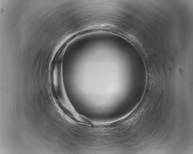 X0000054470792200507291346