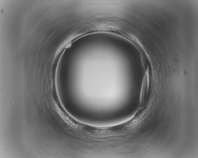 X0000054470795200507291346