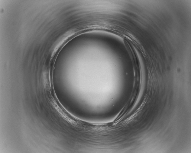 X0000054470796200507291346