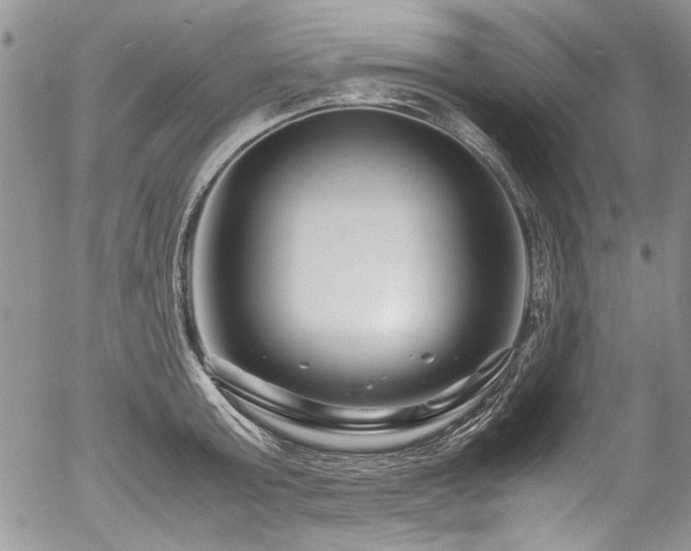 X0000054470803200507291346