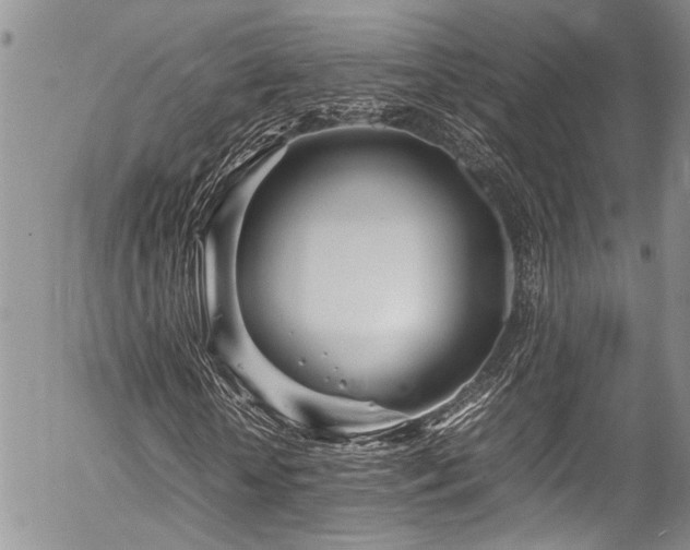 X0000054470818200507291345