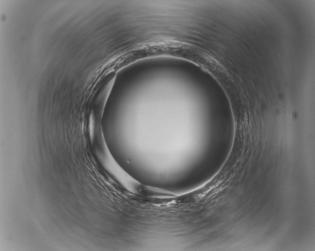 X0000054470822200507291345