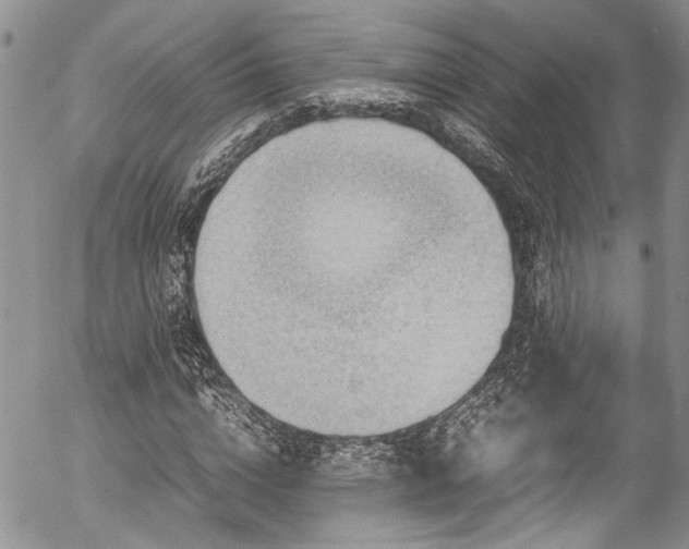 X0000054470824200507291345