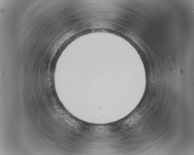 X0000054470832200507291345