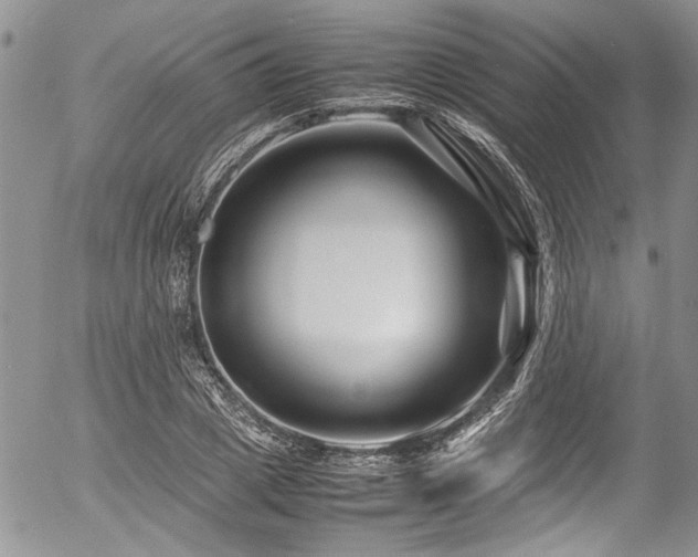 X0000054470833200507291345