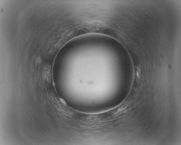 X0000054470867200507291345