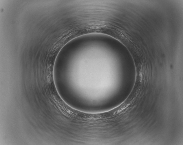 X0000054470868200507291345