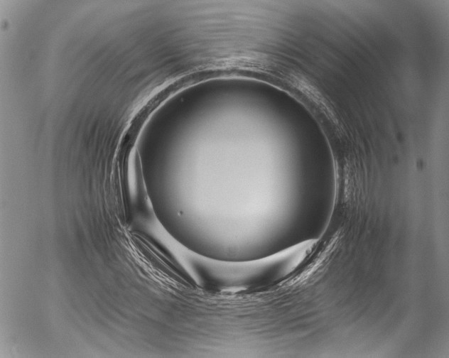 X0000054470876200507291344