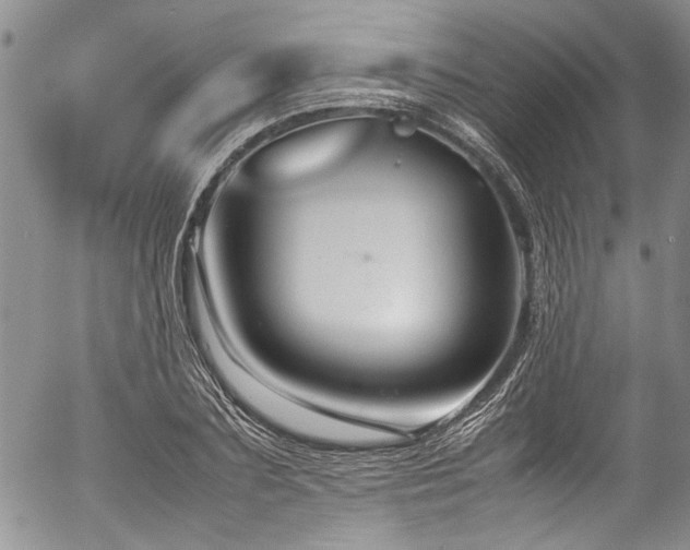 X0000054470883200507291344
